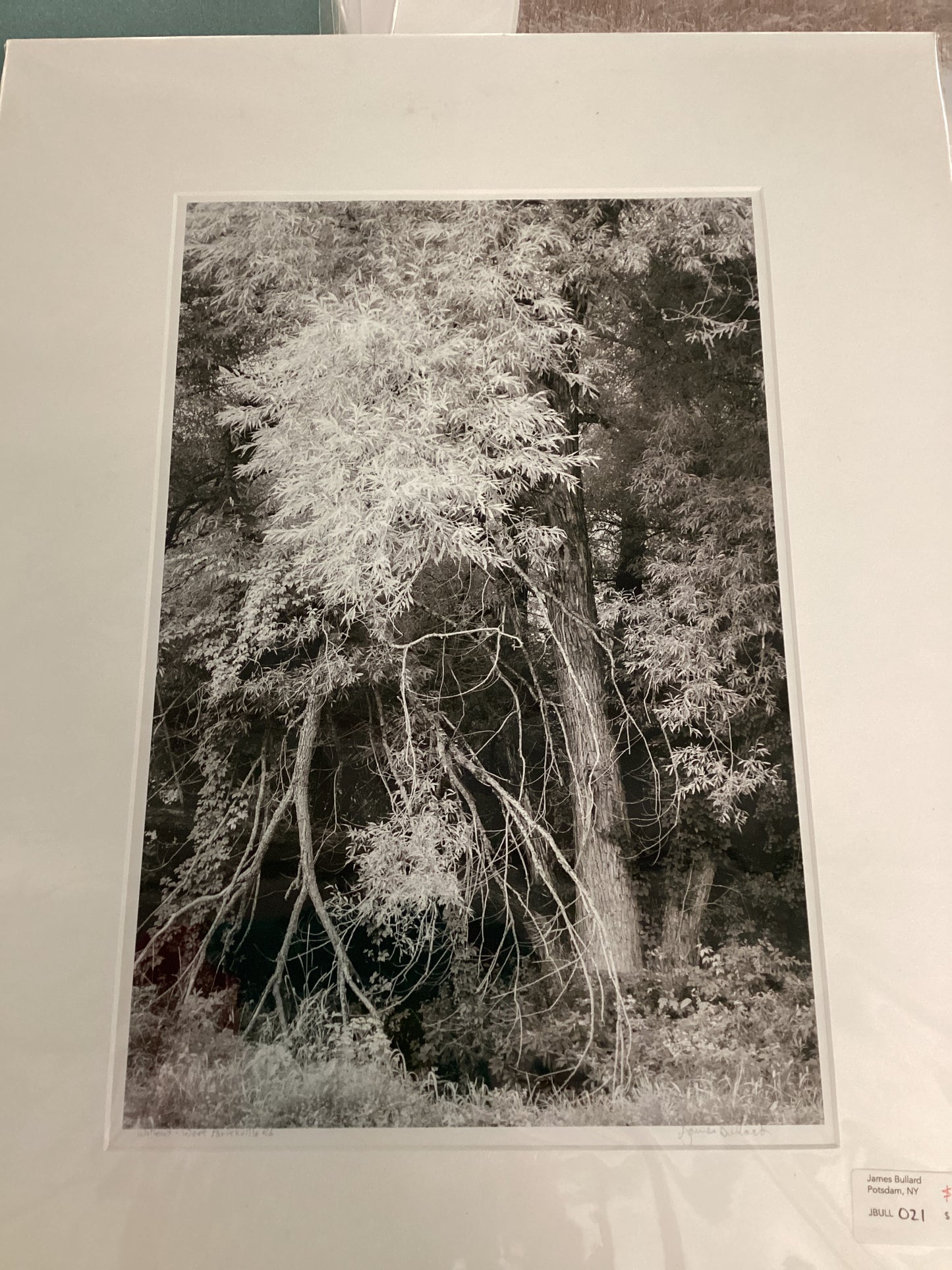 Prints - Jim Bullard