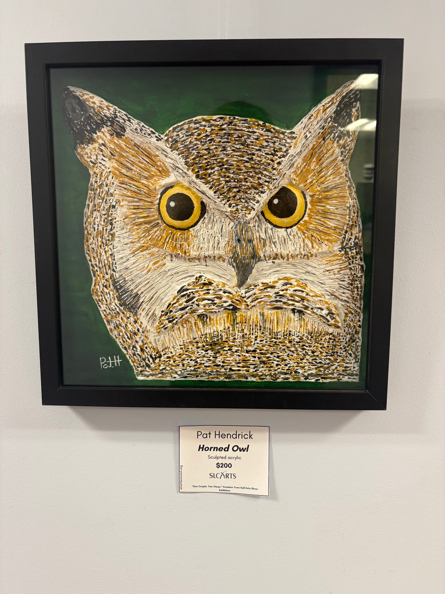 Pat Hendrick - Horned Owl