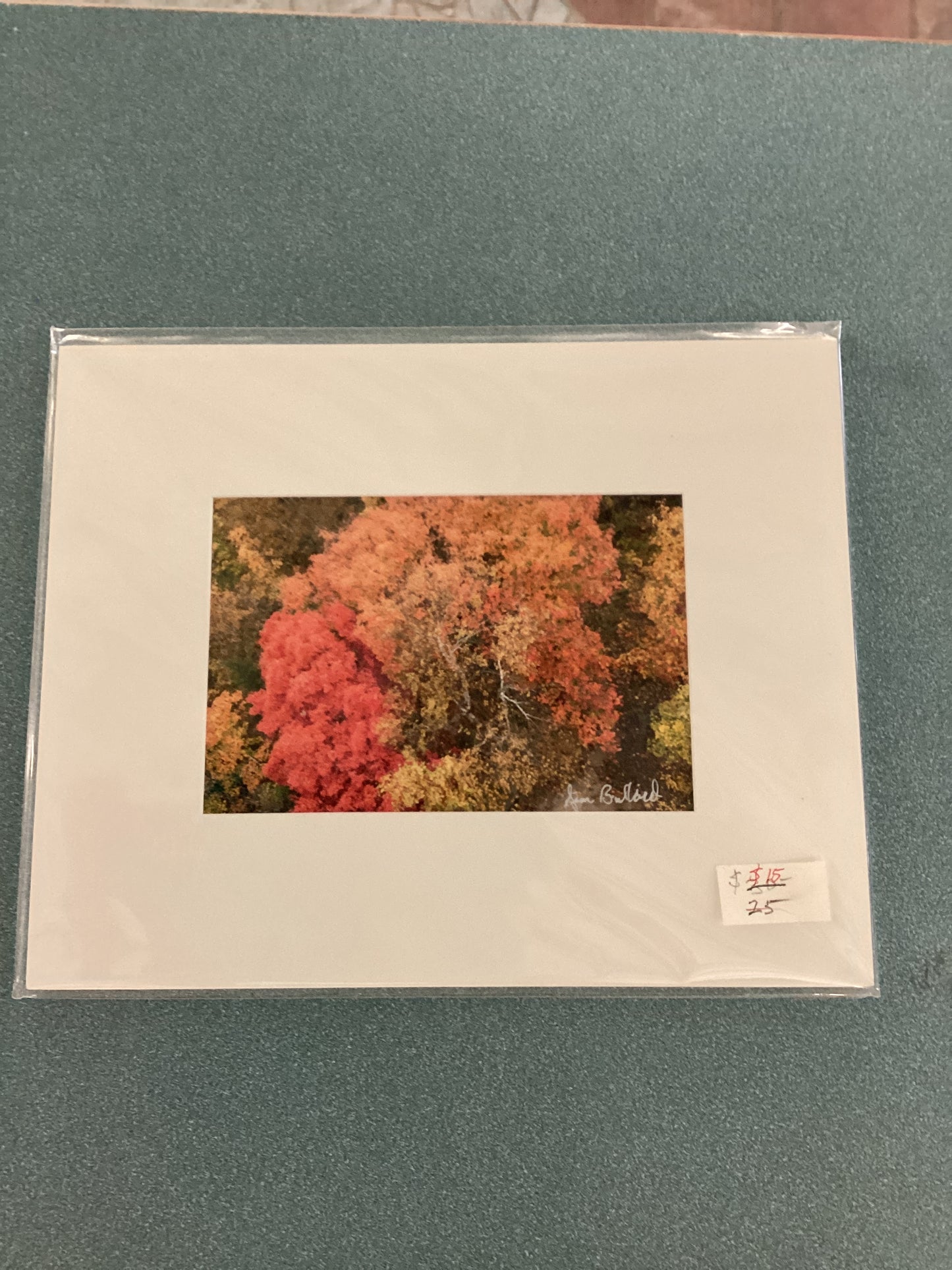 Prints - Jim Bullard