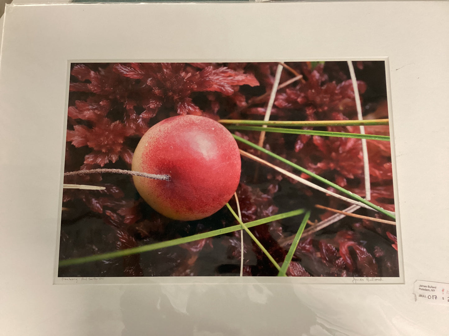 Prints - Jim Bullard