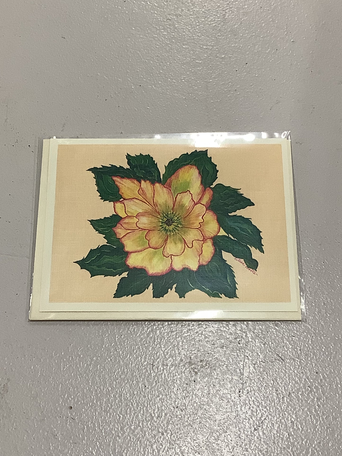 Cards - Eileen Boots