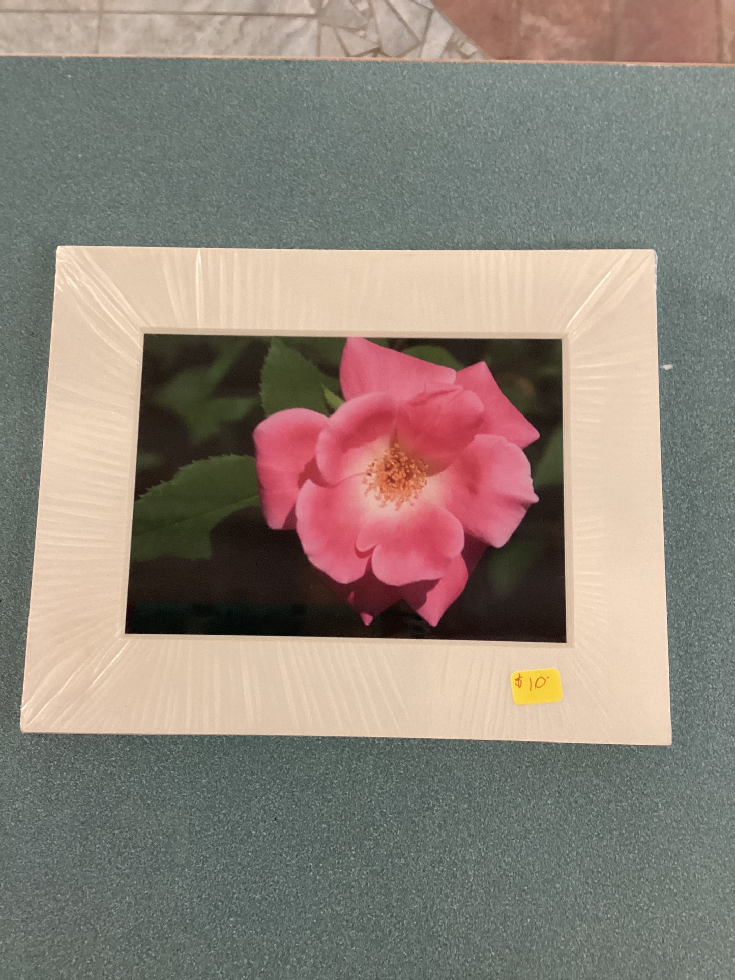 Prints - Jim Bullard