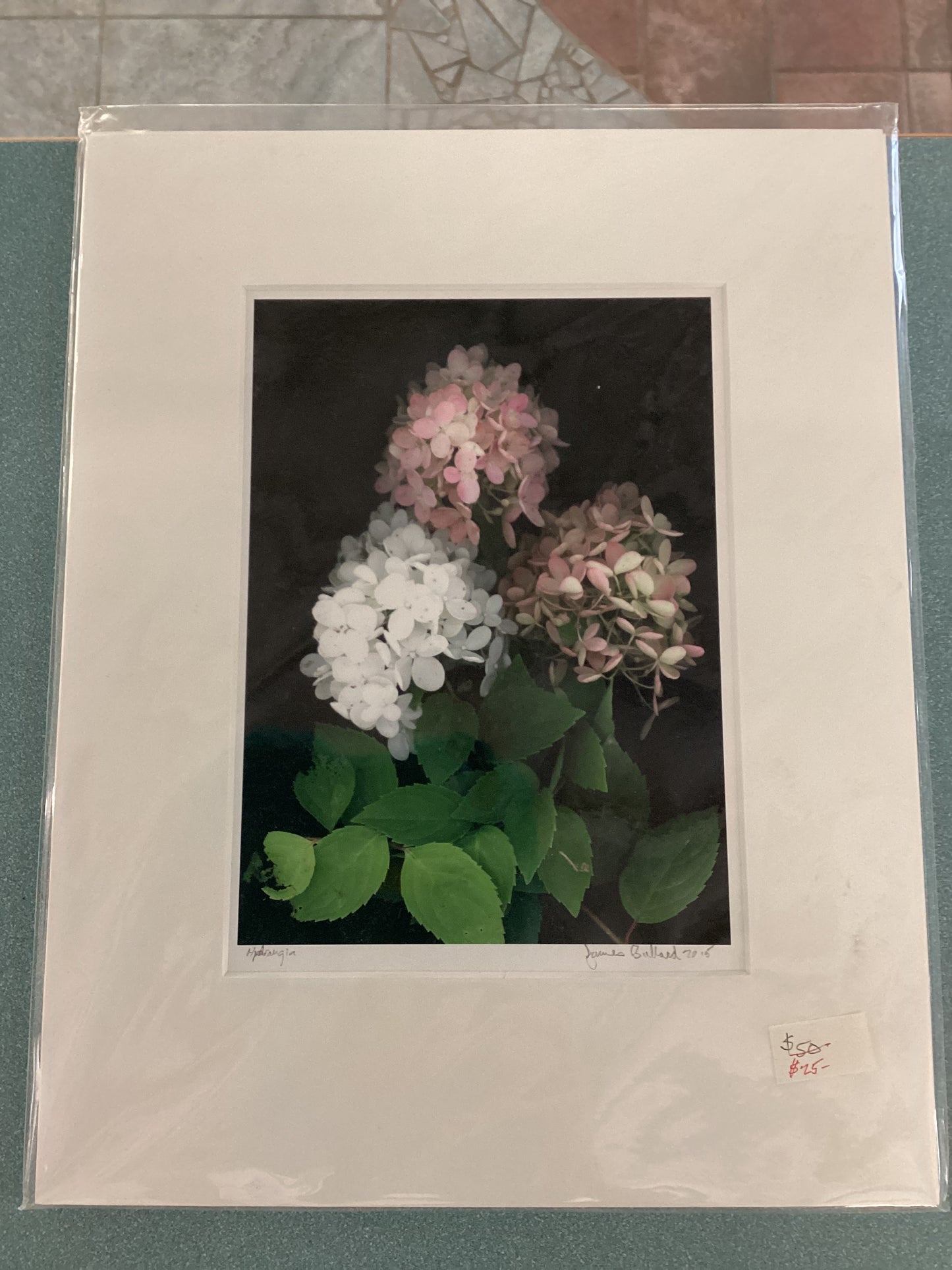 Prints - Jim Bullard