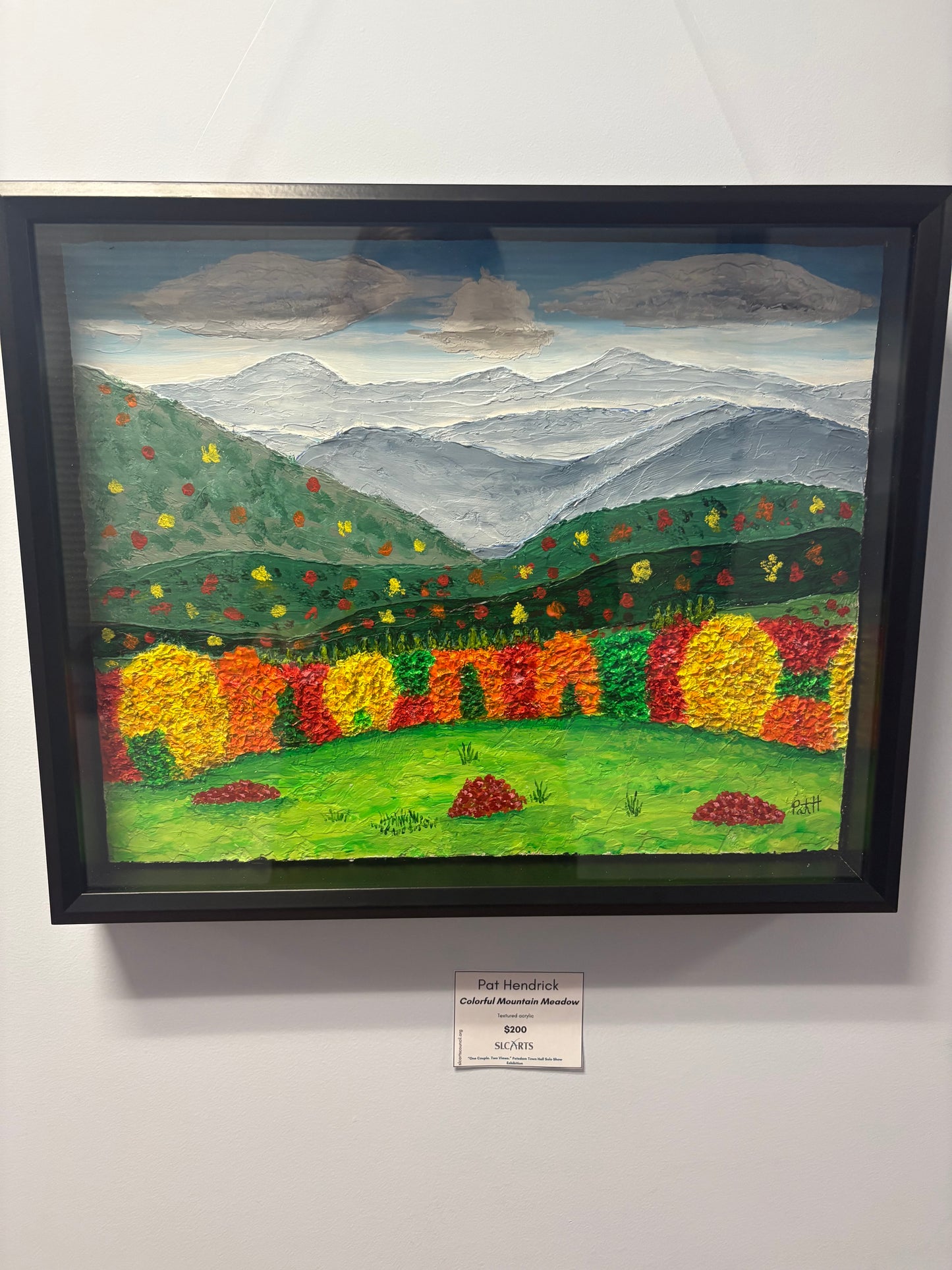 Pat Hendrick - Colorful Mountain Meadow