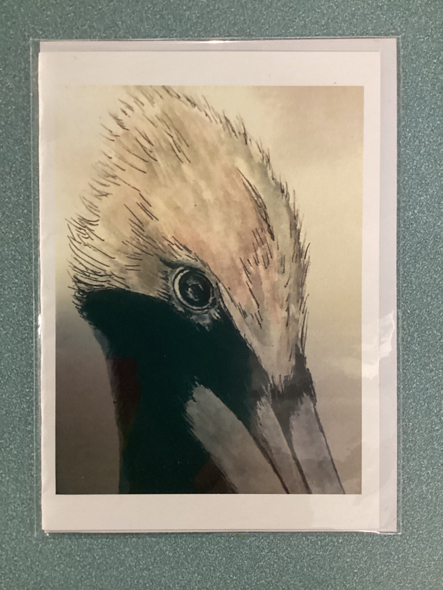Cards - Sally Kirby