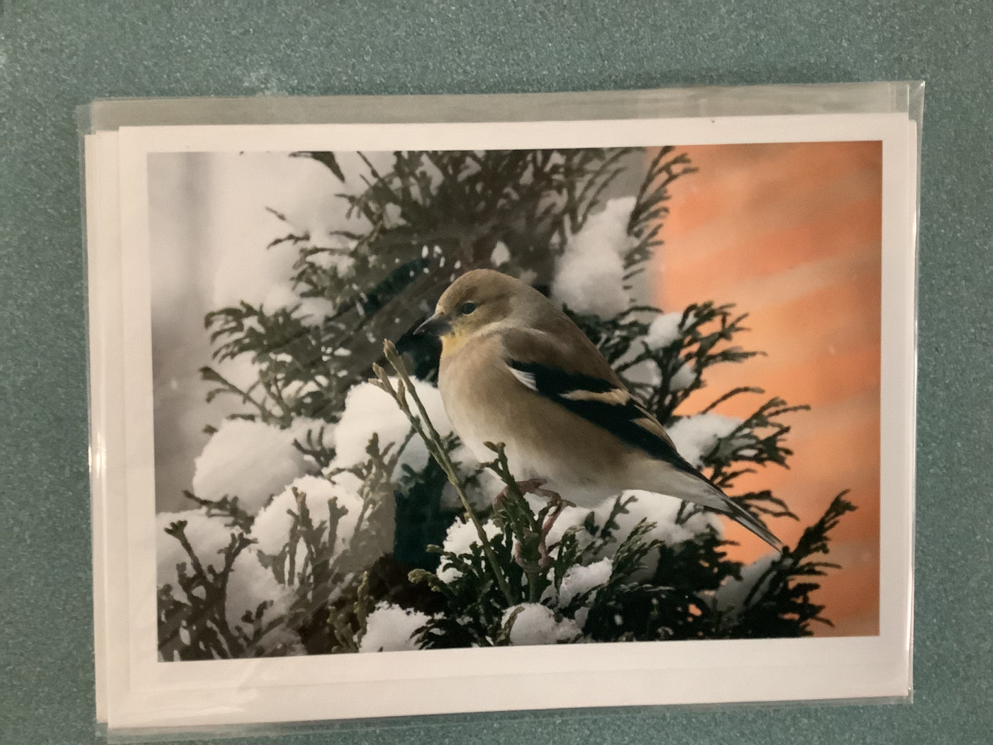 Cards - Jim Bullard