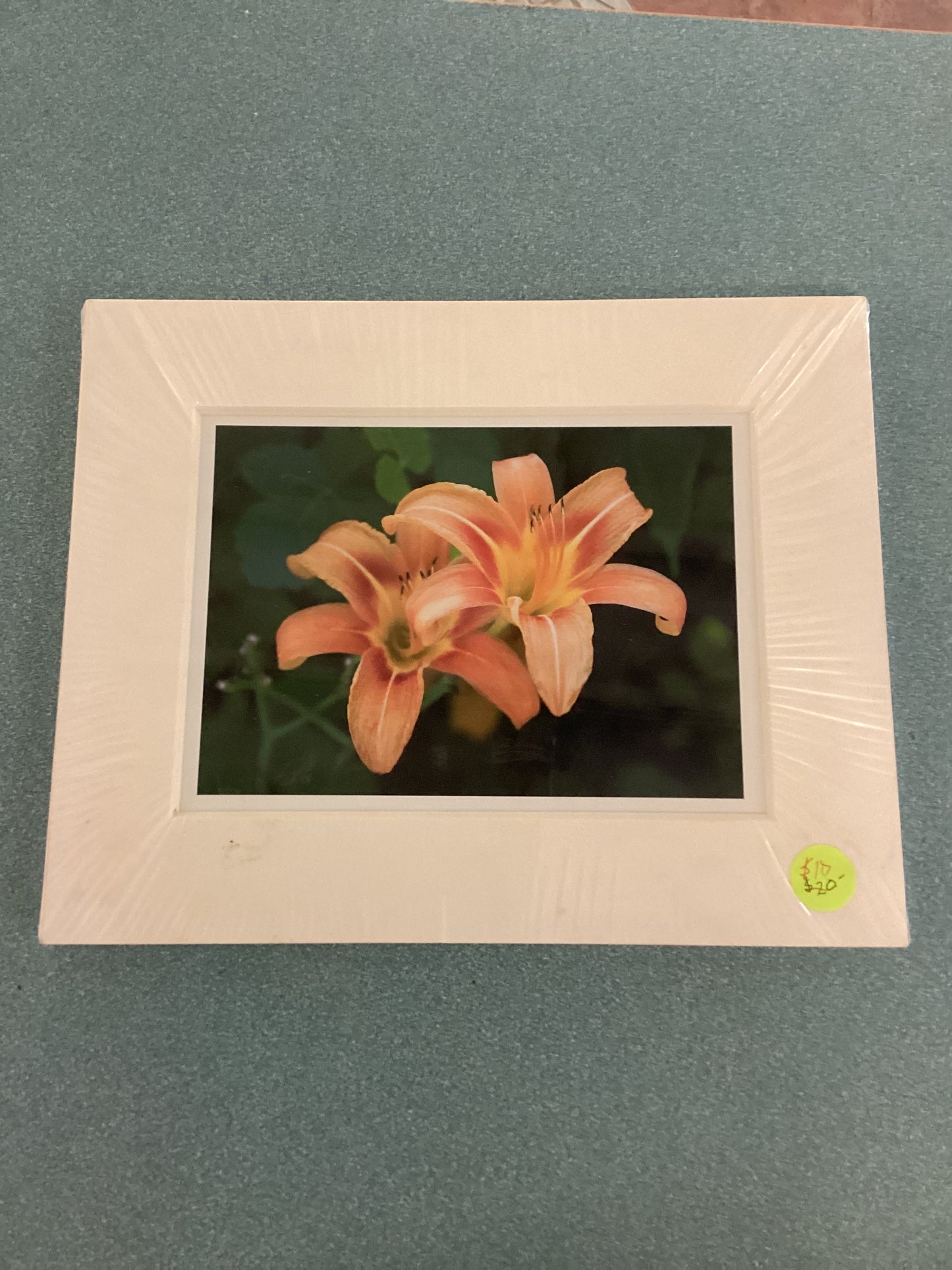 Prints - Jim Bullard