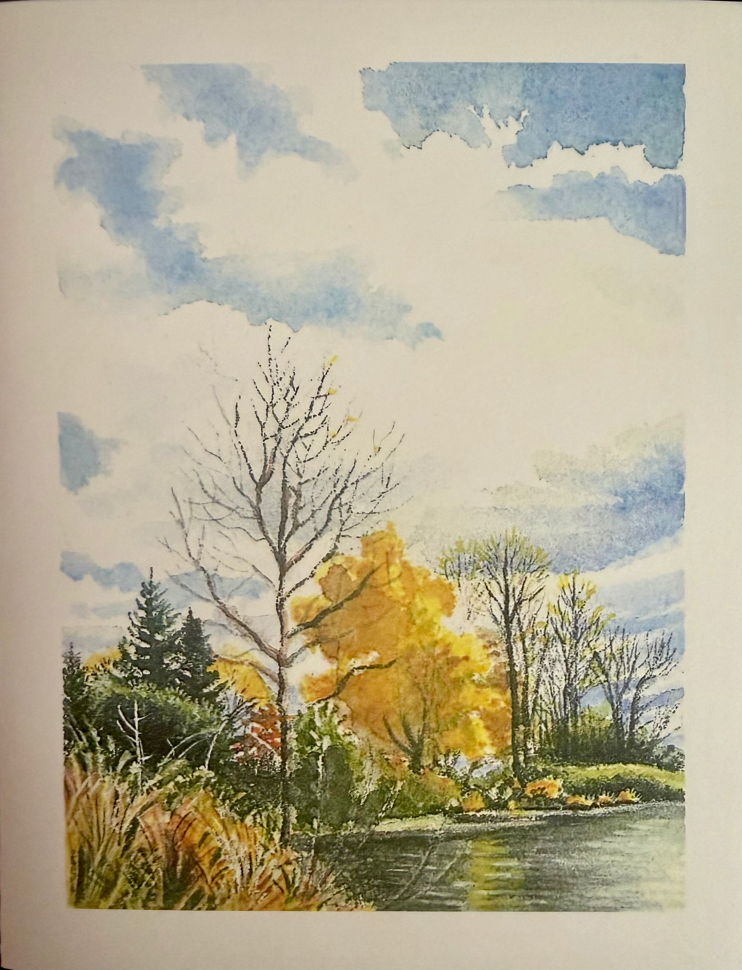 Greeting Cards - Anna Gerhard Arnold