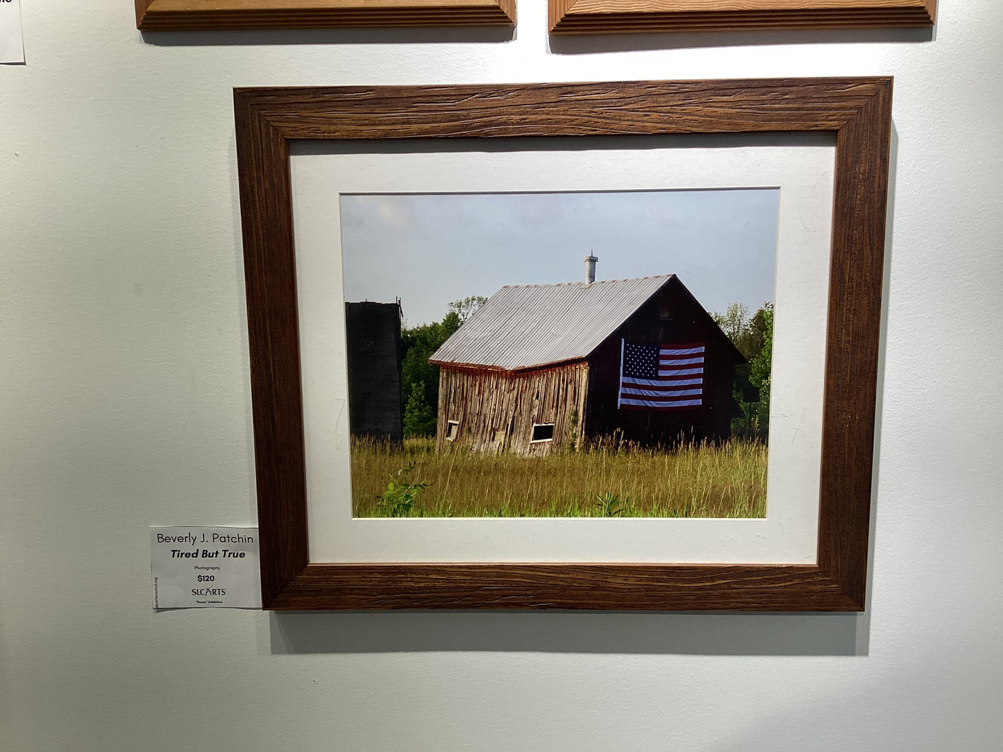 "Tired but True" Photograph by Beverly J. Patchin