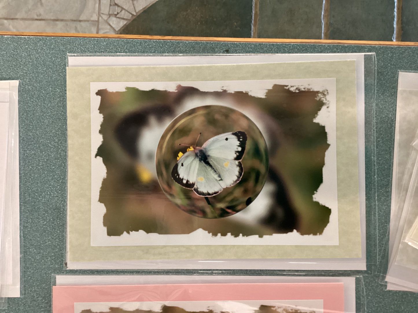 Greeting Cards by Colette Parmer