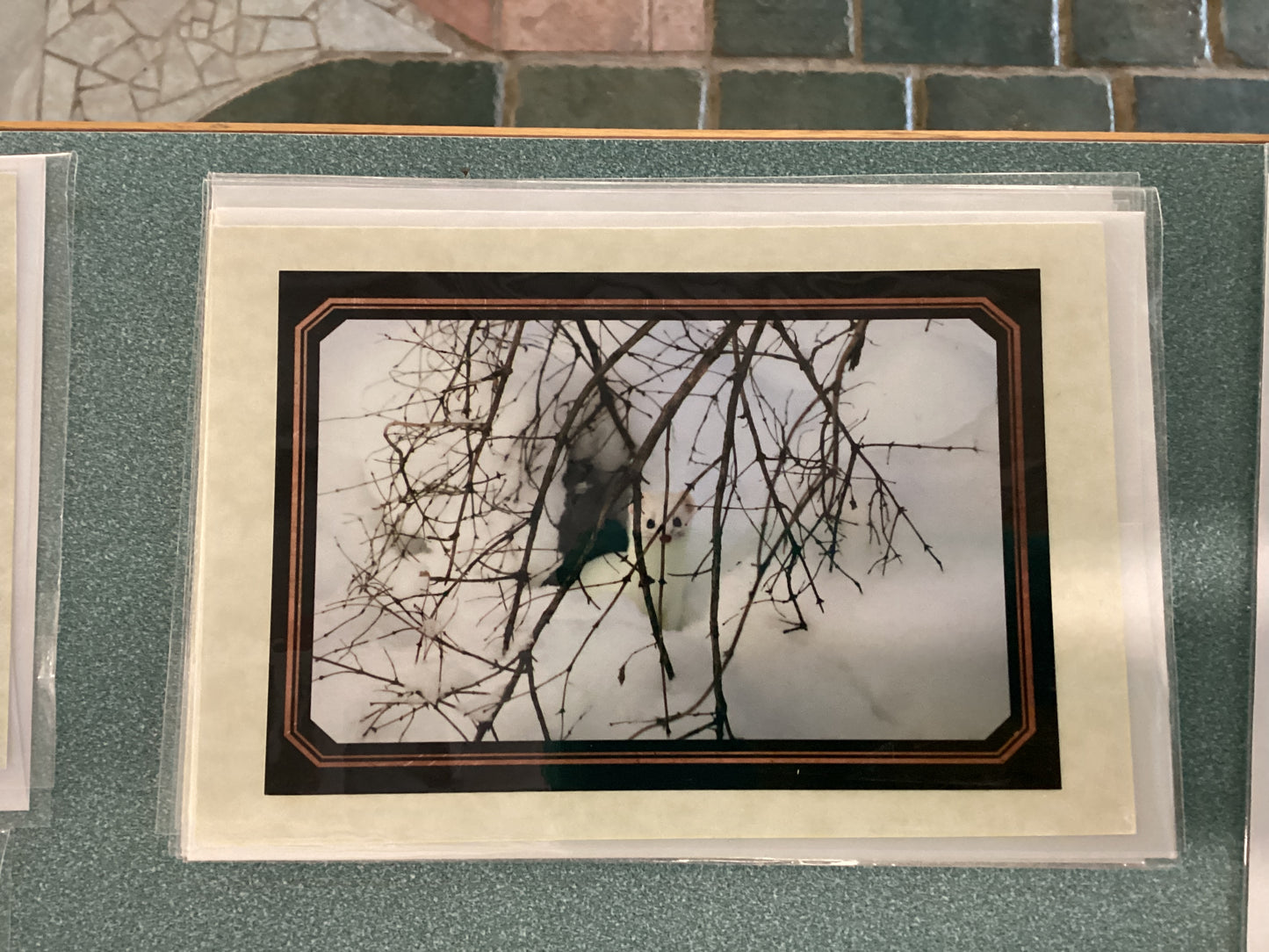 Greeting Cards by Colette Parmer
