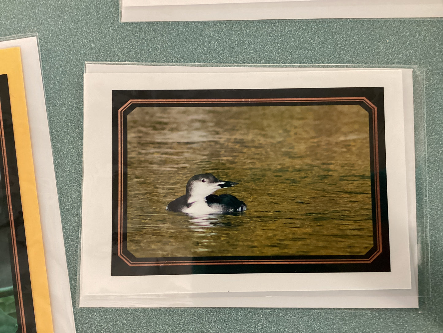 Greeting Cards by Colette Parmer