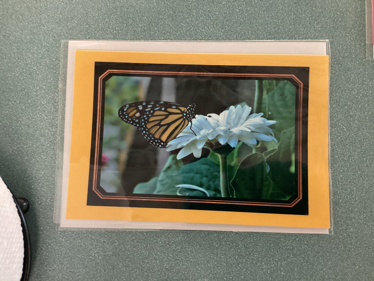Greeting Cards by Colette Parmer
