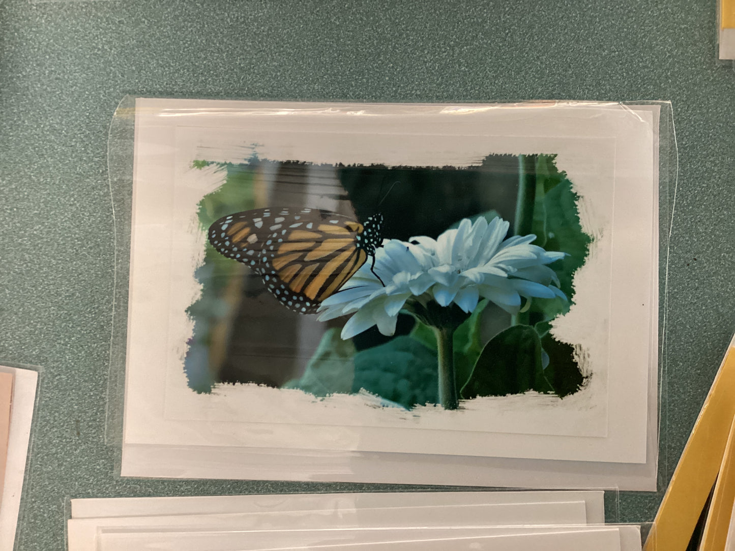 Greeting Cards by Colette Parmer