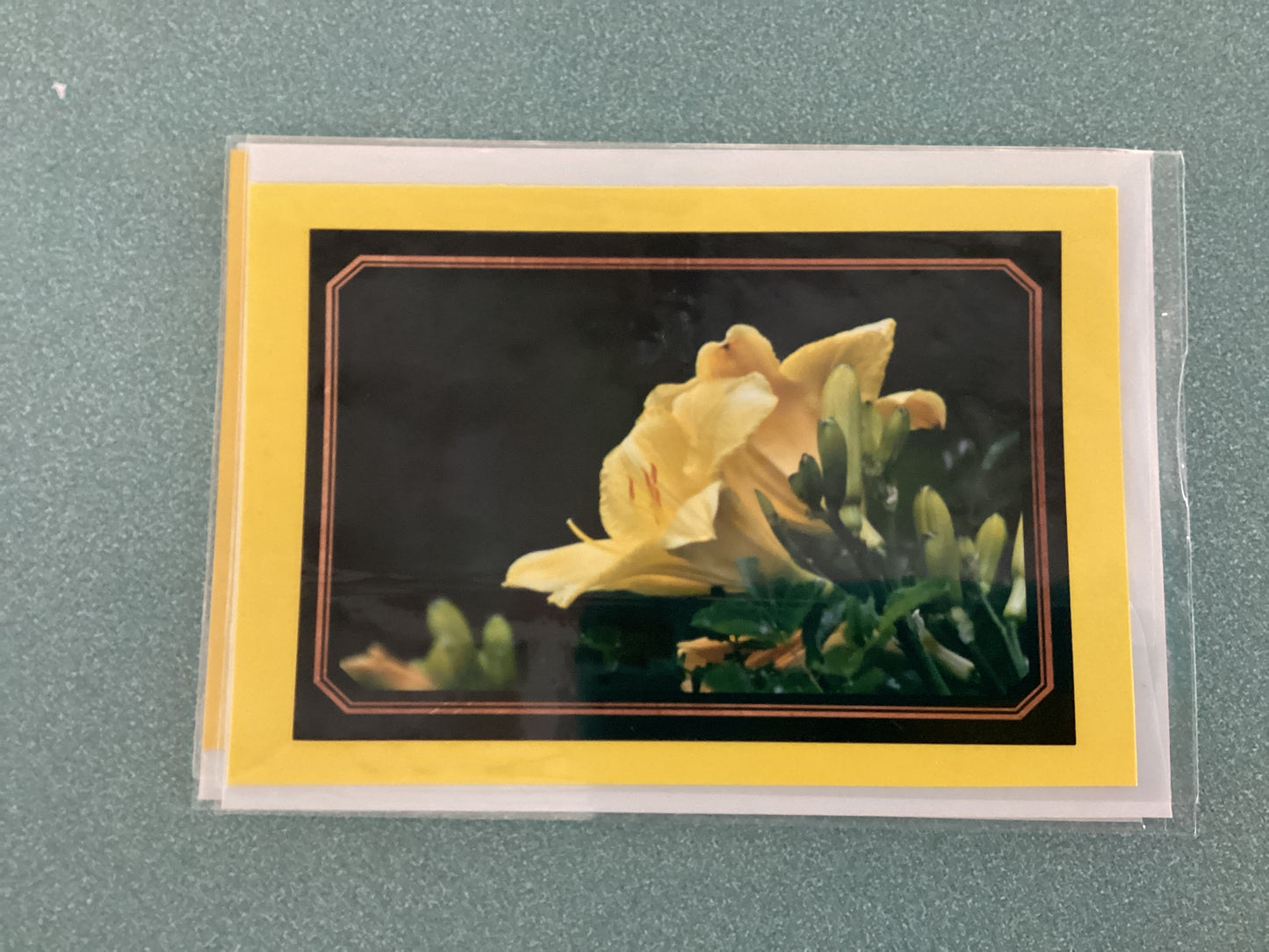 Greeting Cards by Colette Parmer
