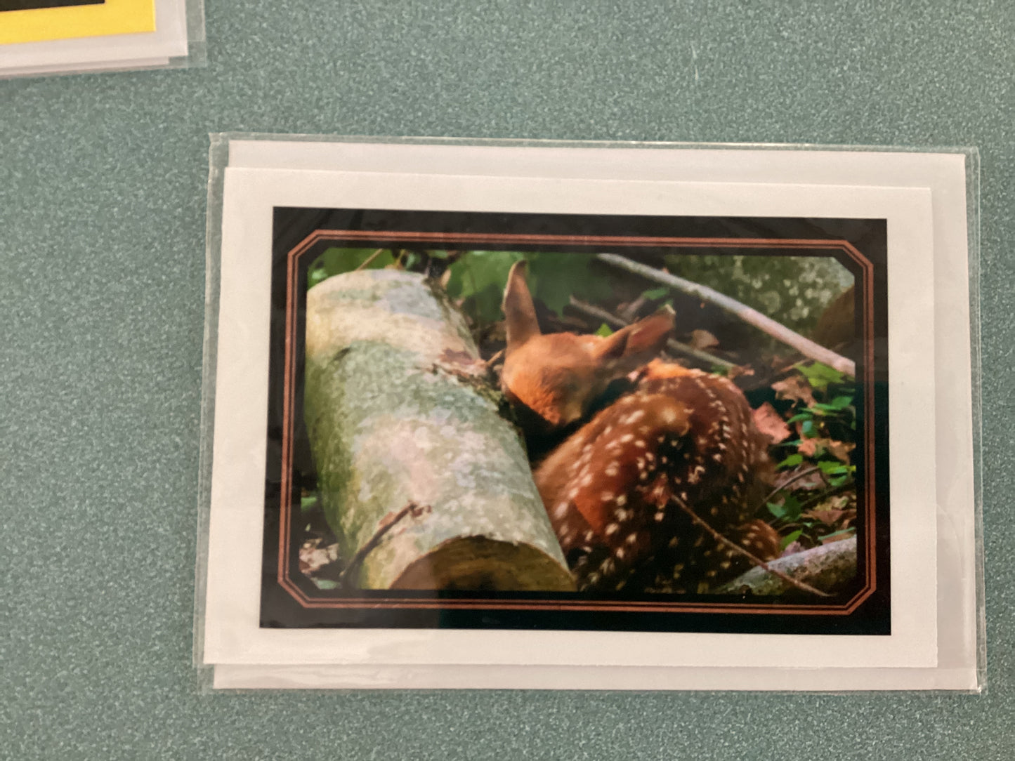 Greeting Cards by Colette Parmer