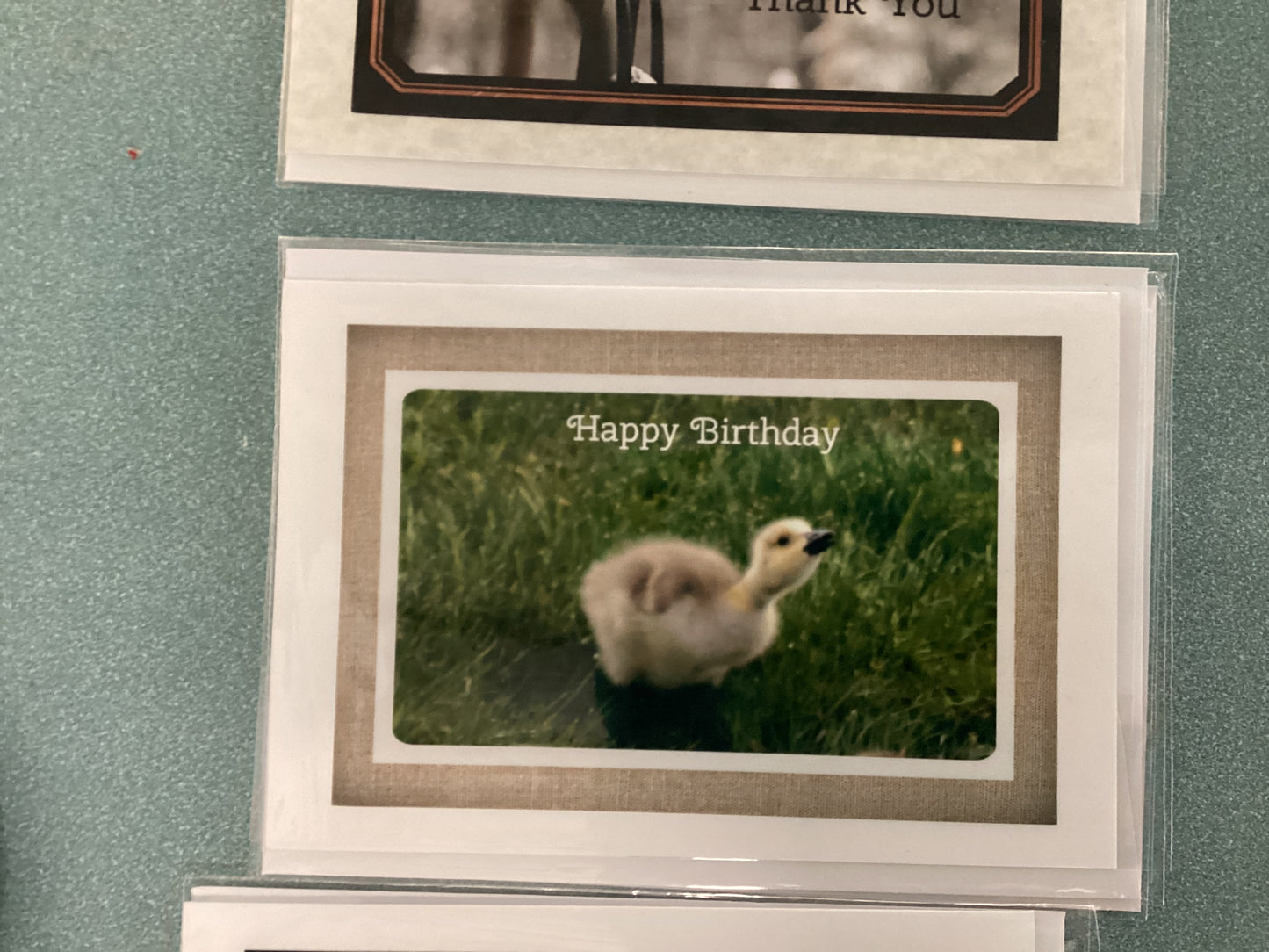 Greeting Cards by Colette Parmer