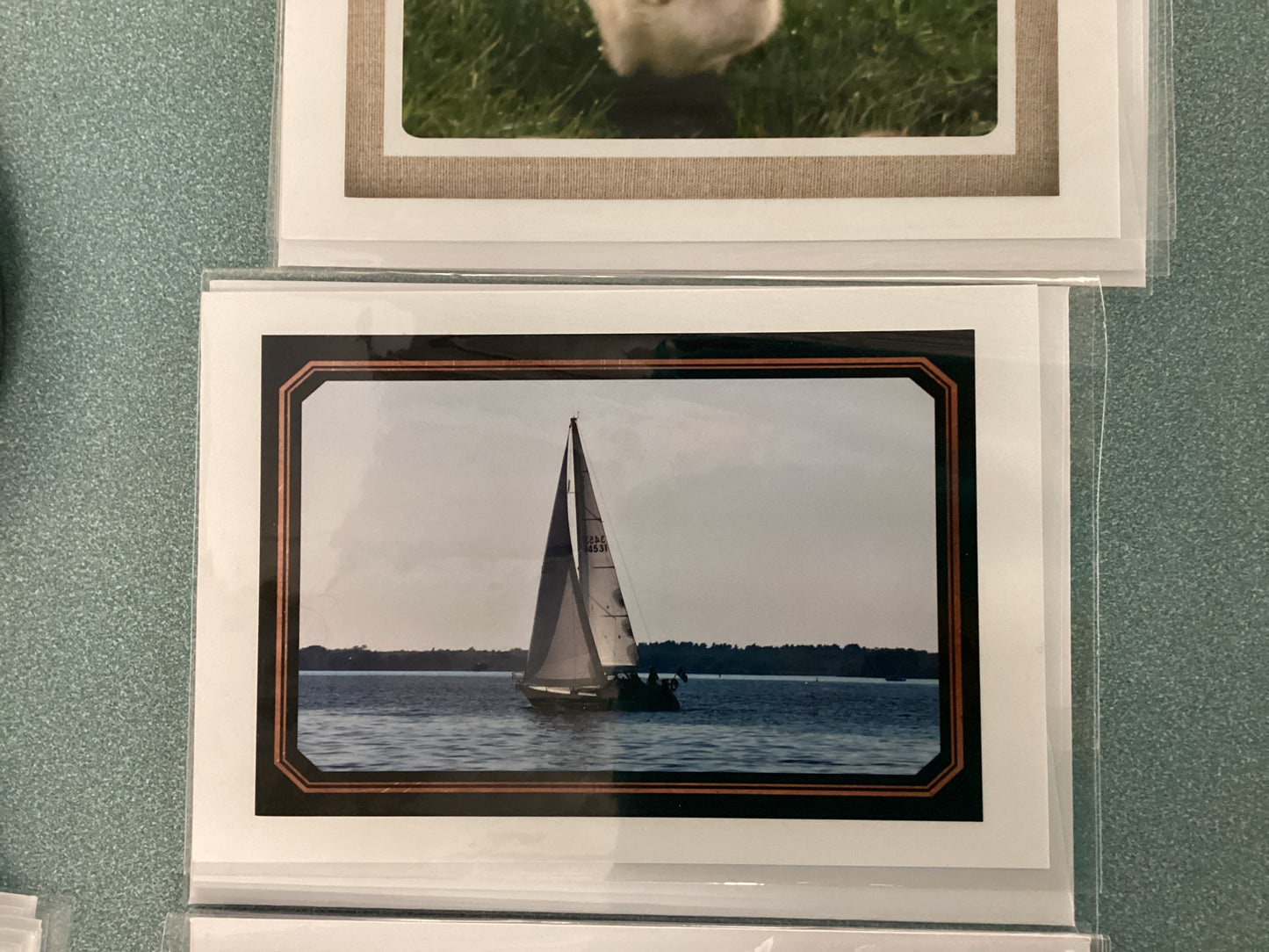 Greeting Cards by Colette Parmer