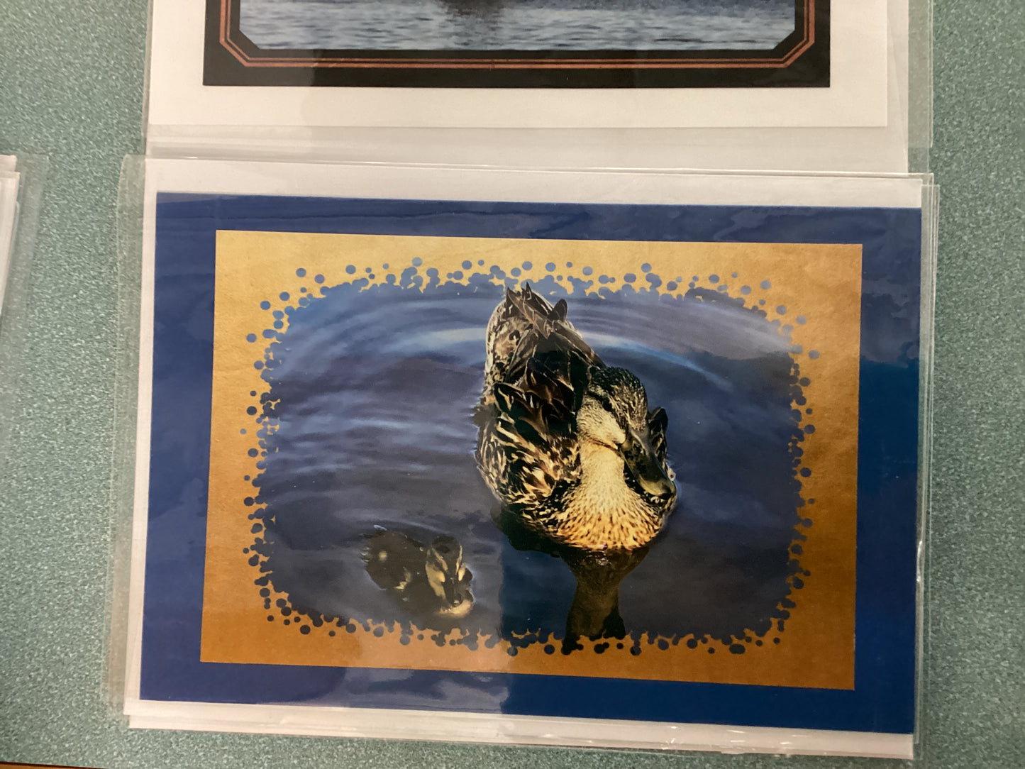 Greeting Cards by Colette Parmer