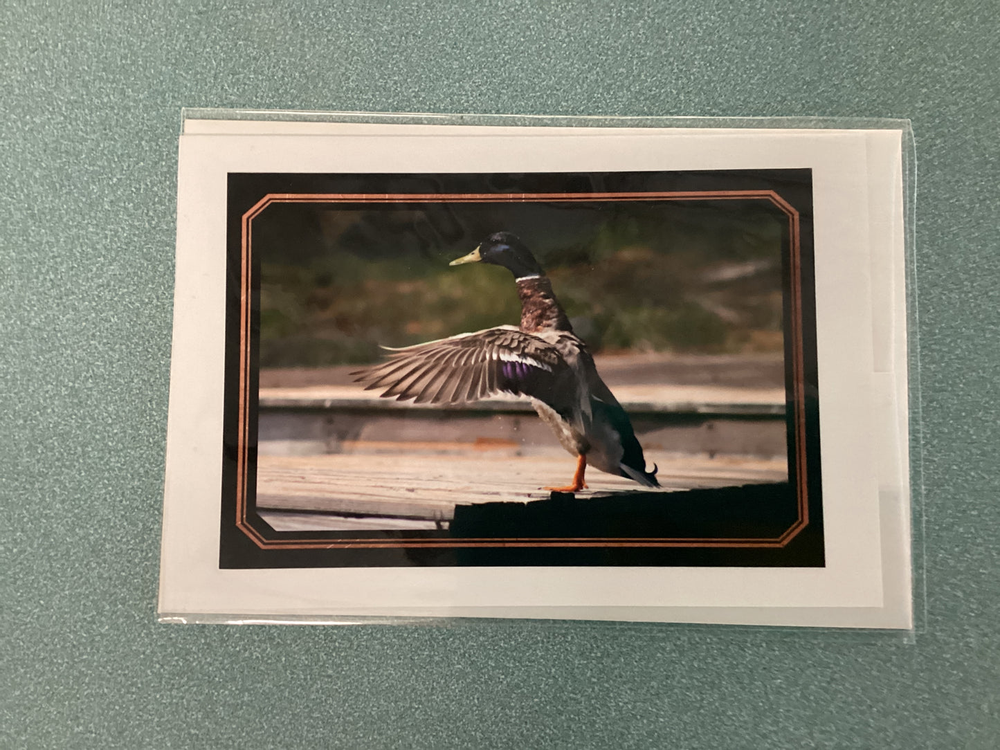 Greeting Cards by Colette Parmer