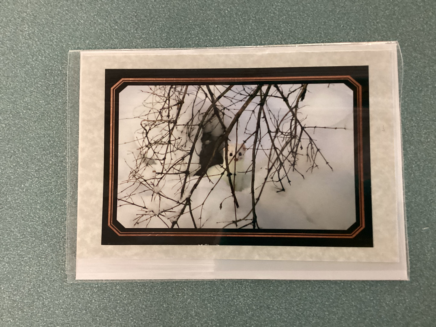 Greeting Cards by Colette Parmer