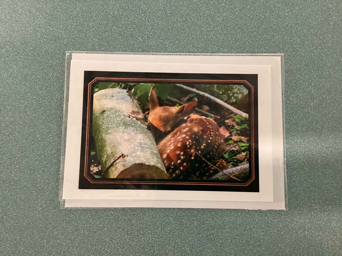 Greeting Cards by Colette Parmer