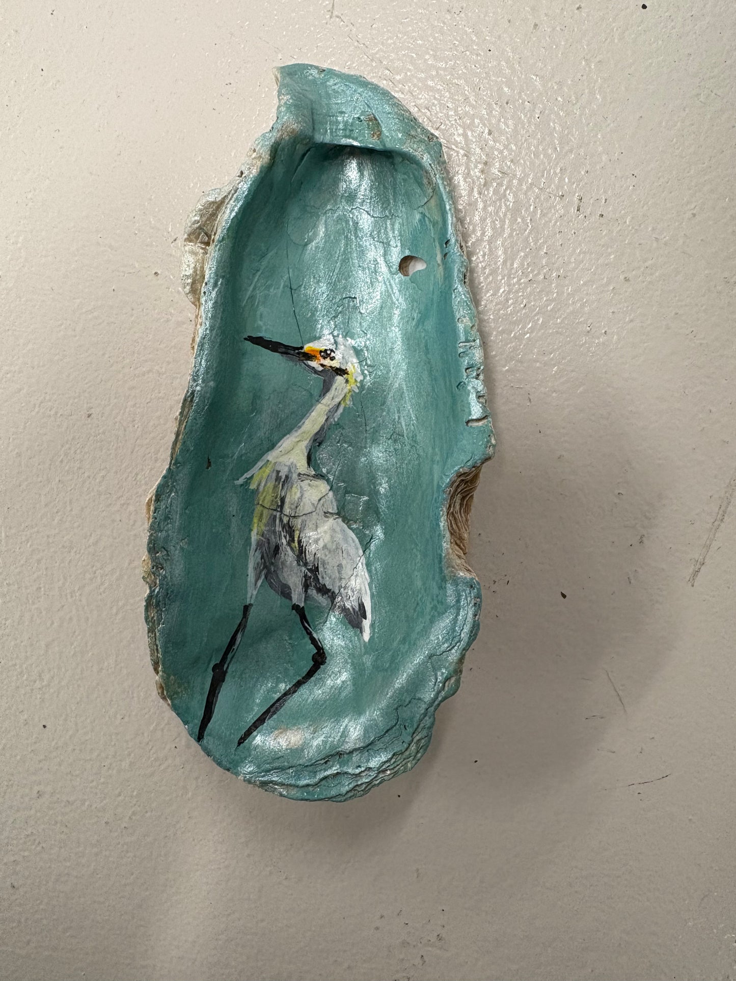 Oyster Art - Elizabeth Saucier