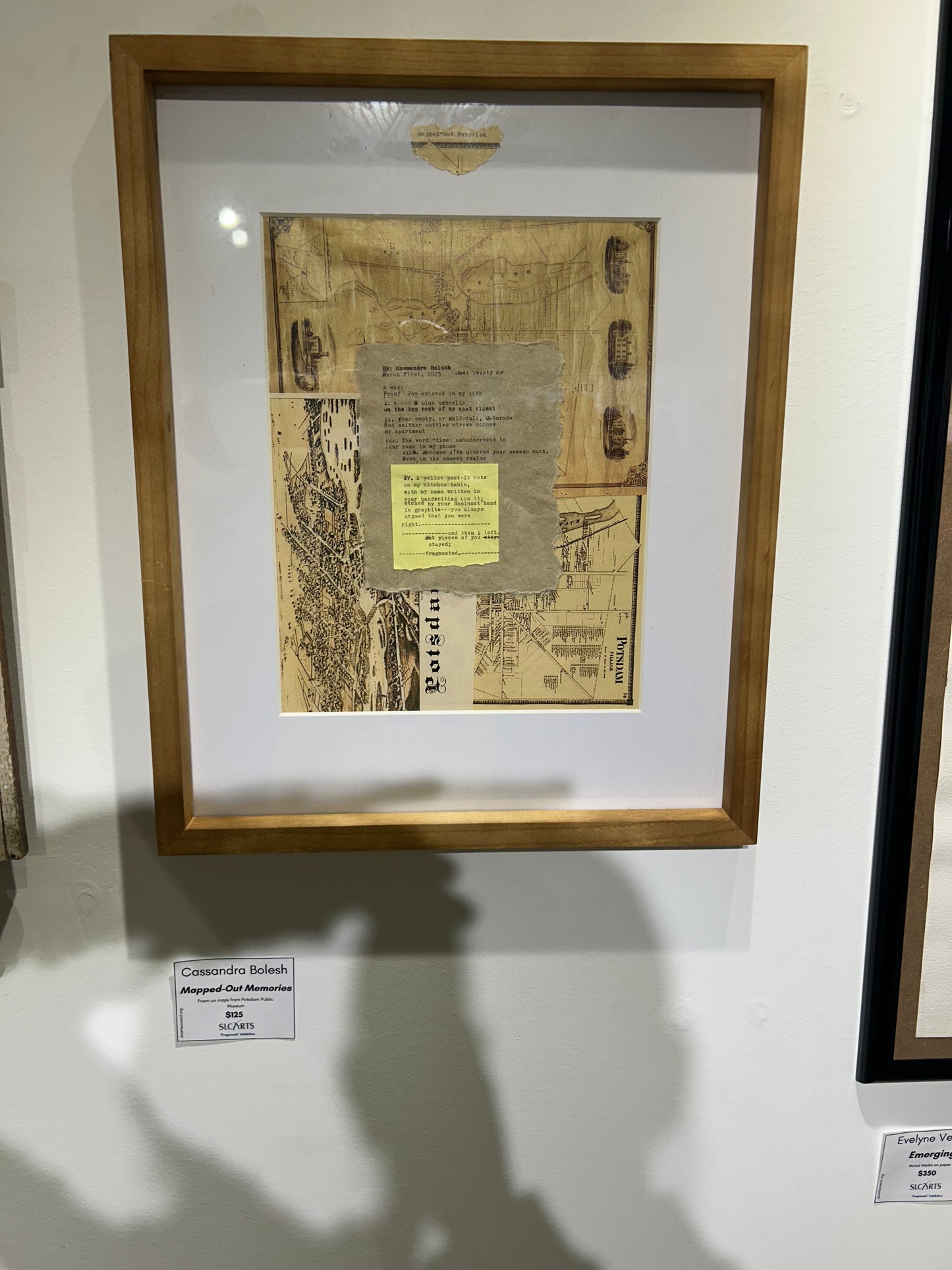 Cassandra Bolesh- Mapped-Out Memories