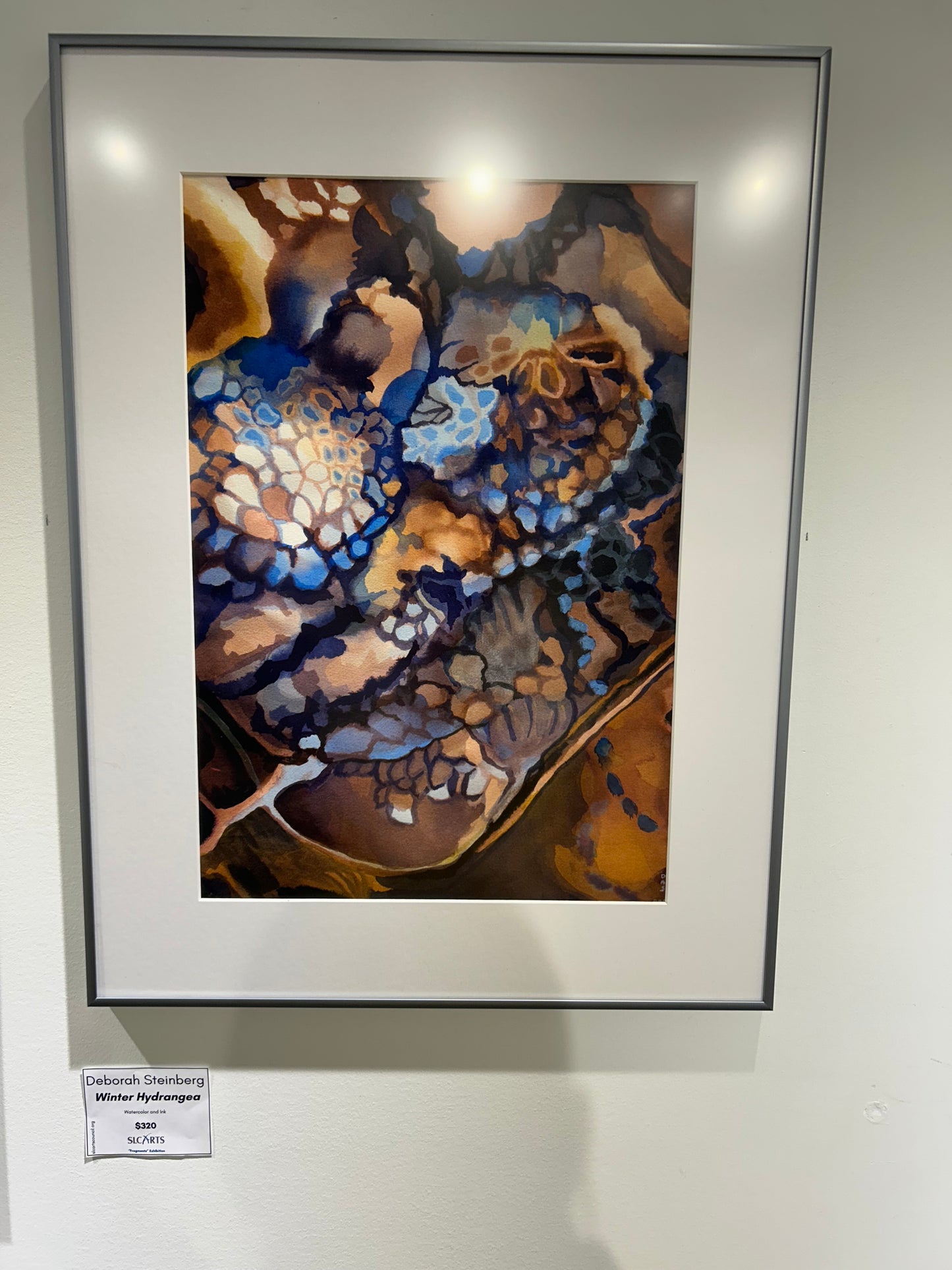 Deborah Steinberg- Winter Hydrangea