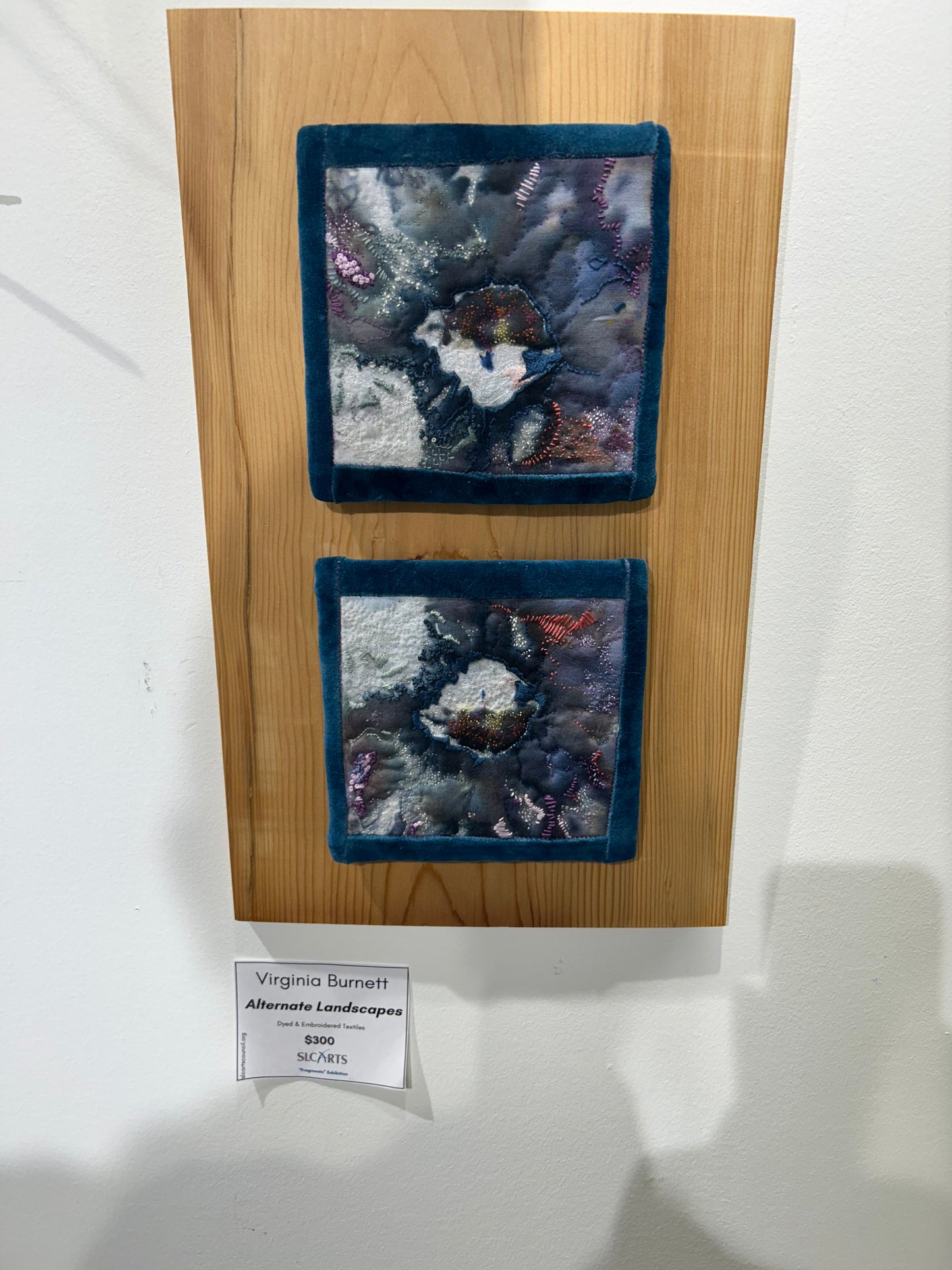 Virginia Burnett- Alternate Landscapes