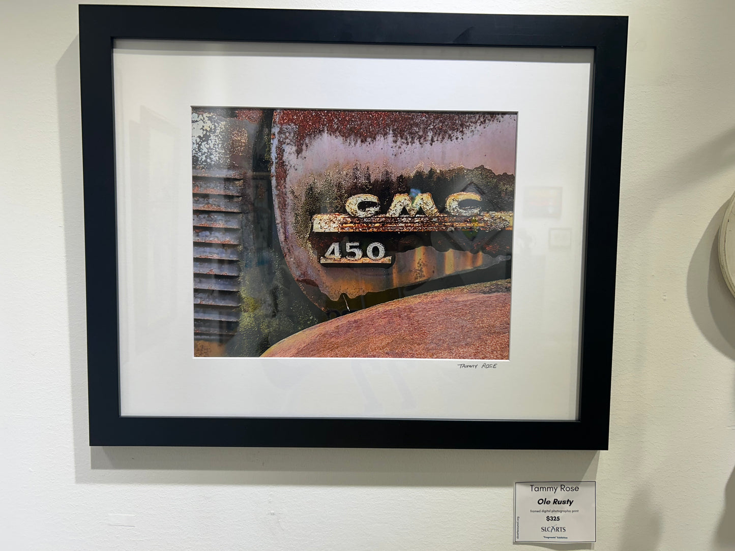 Tammy Rose- Ole Rusty