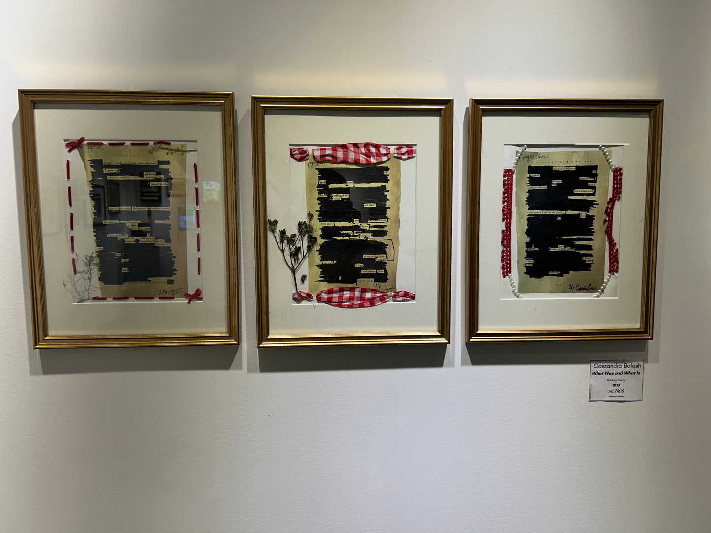 Cassandra Bolesh- What Was and What is