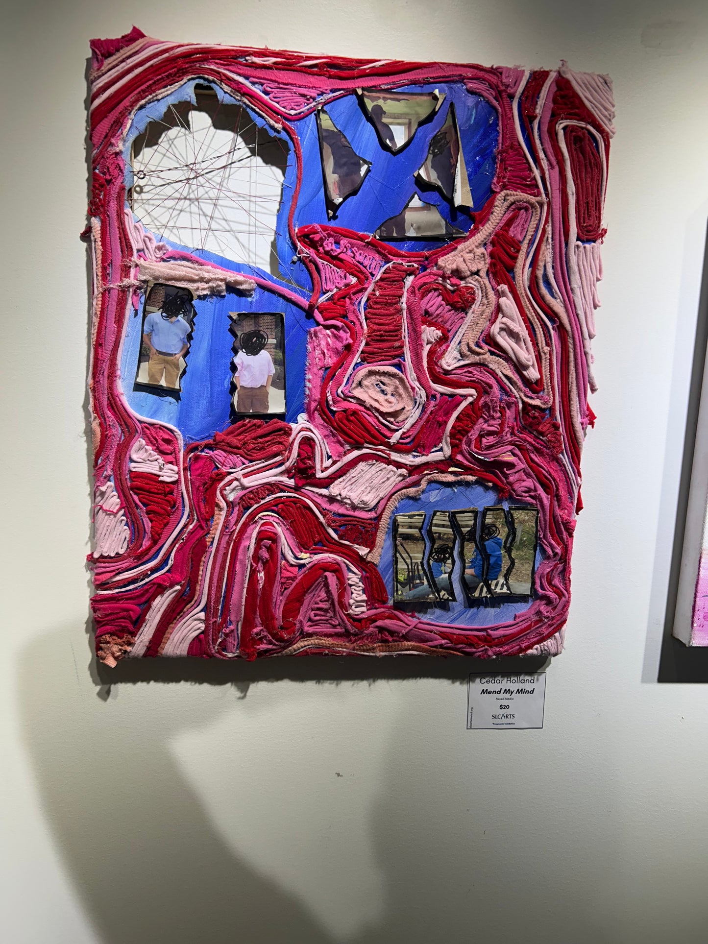 Cedar Holland - Mend My Mind