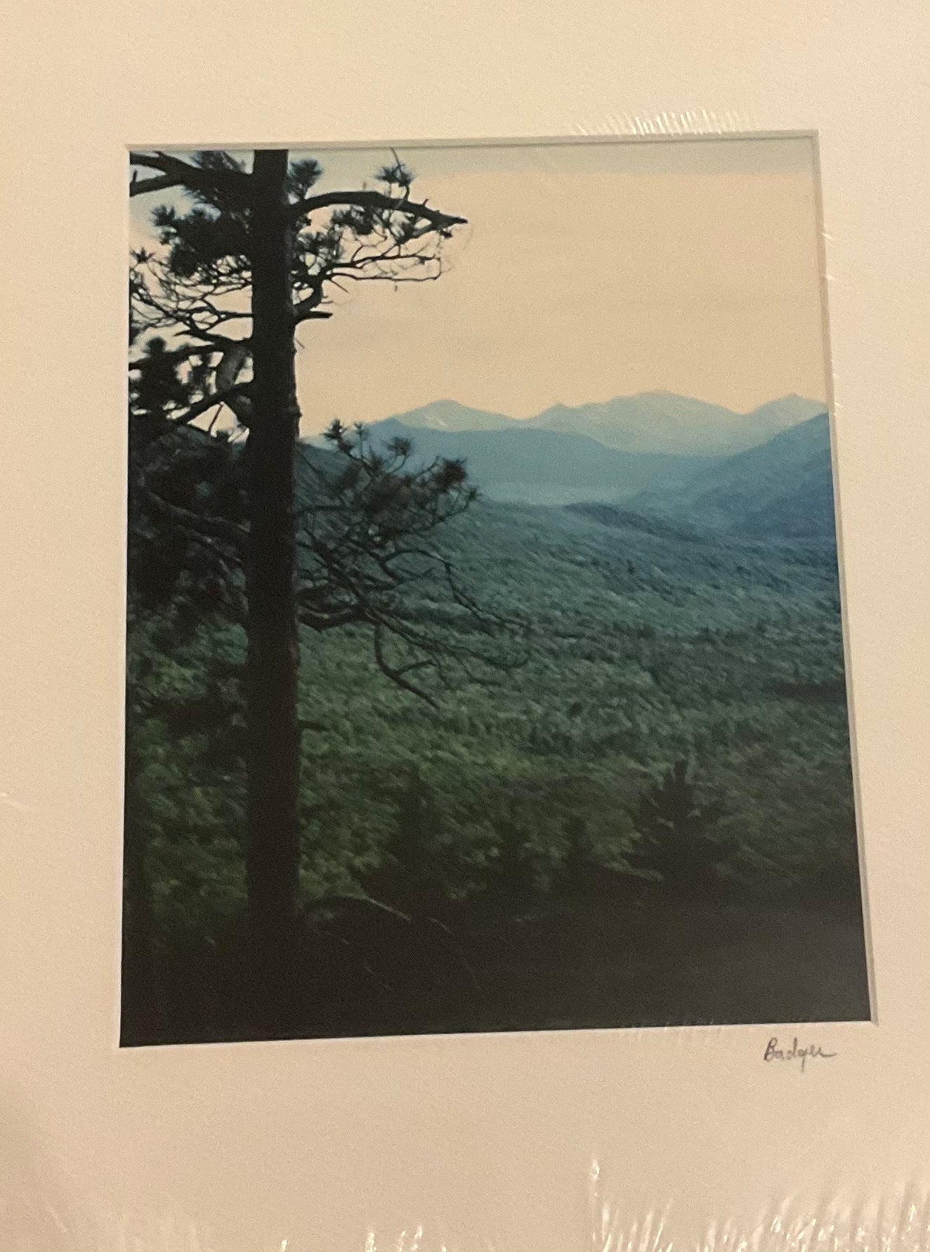 Prints - Dorothy J. Badger