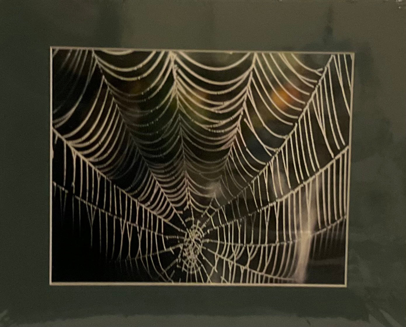 Prints - Dorothy J. Badger