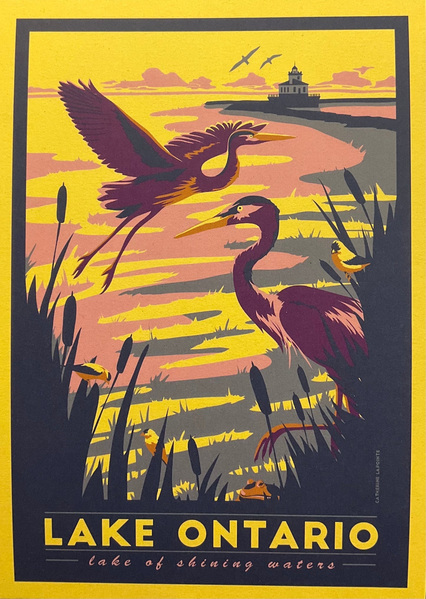 Places Postcards, Catherine LaPointe-Vollmer