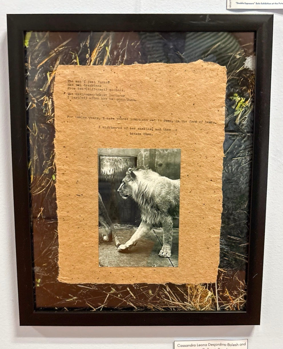 Cassandra Leona Desjardins-Bolesh and Lainie Calhoun-Bouchey: Lion