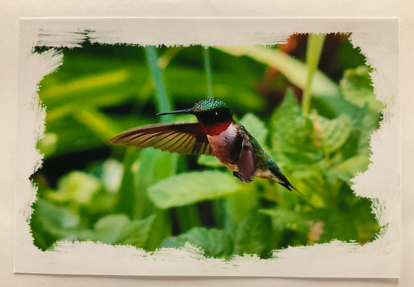 Cards, Colette Parmer