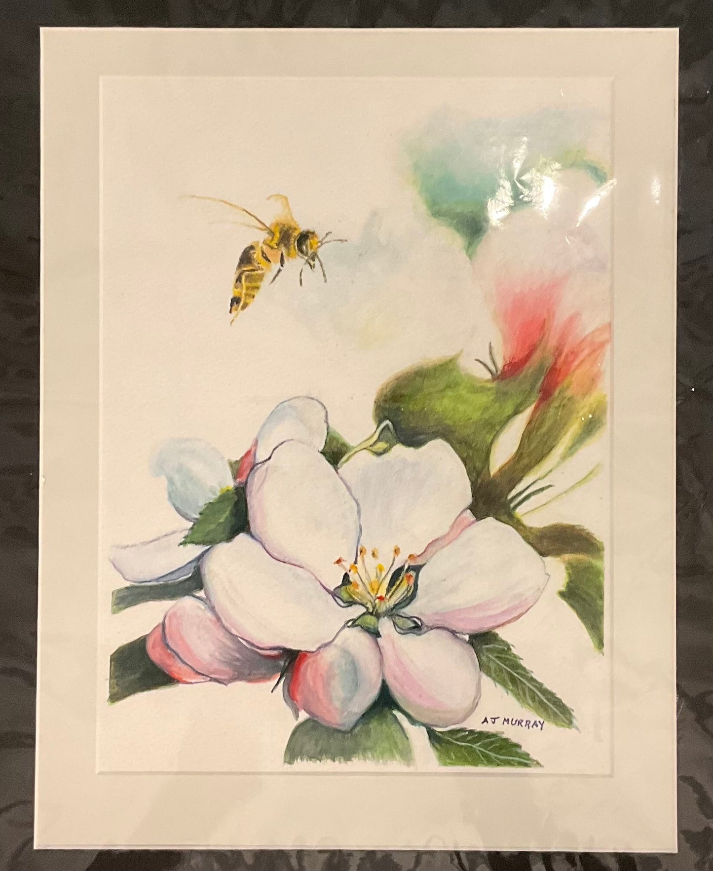 Prints & Paintings - AJ Murray