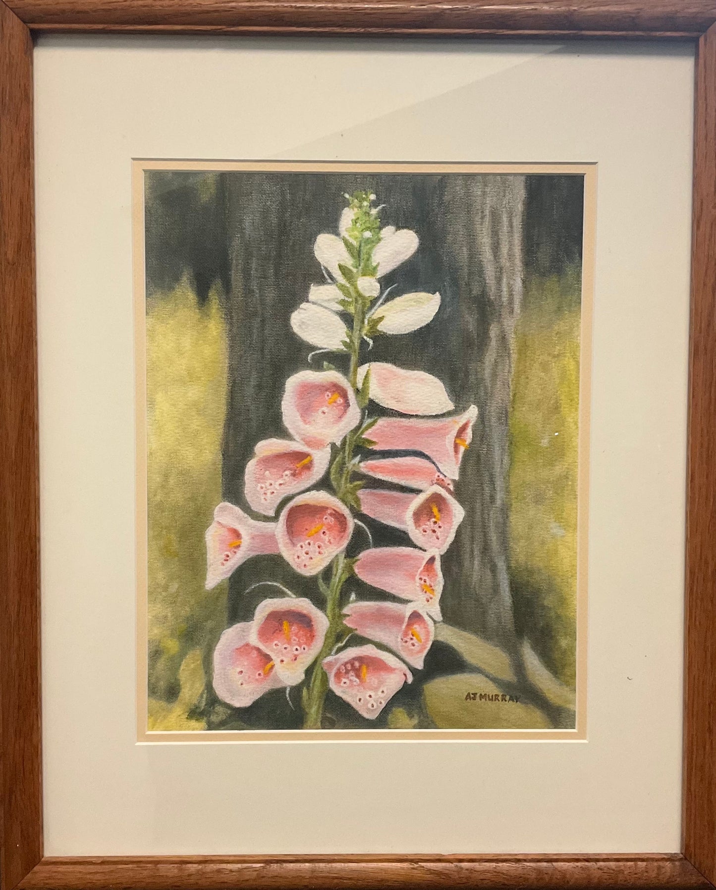 Prints & Paintings - AJ Murray
