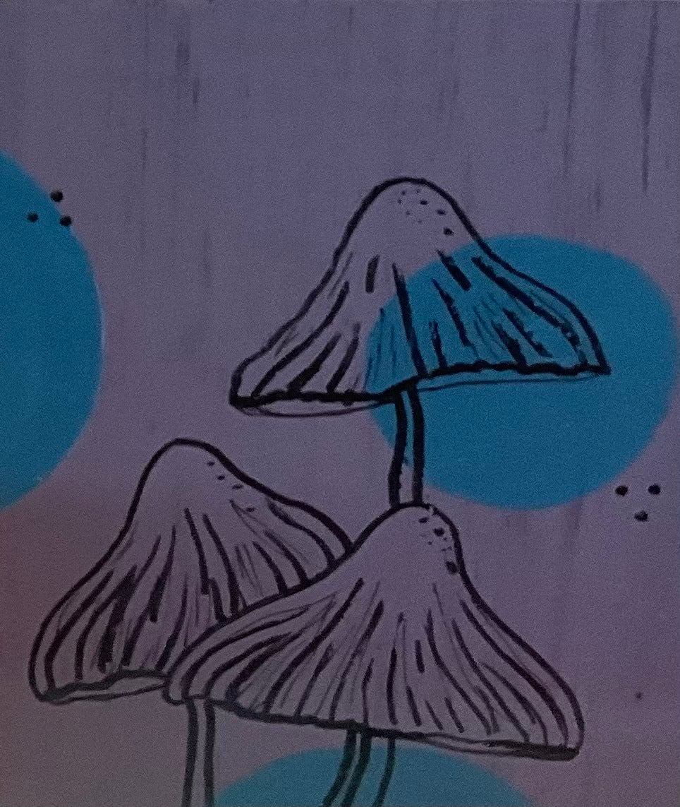 Wall Art: Katie Schuler