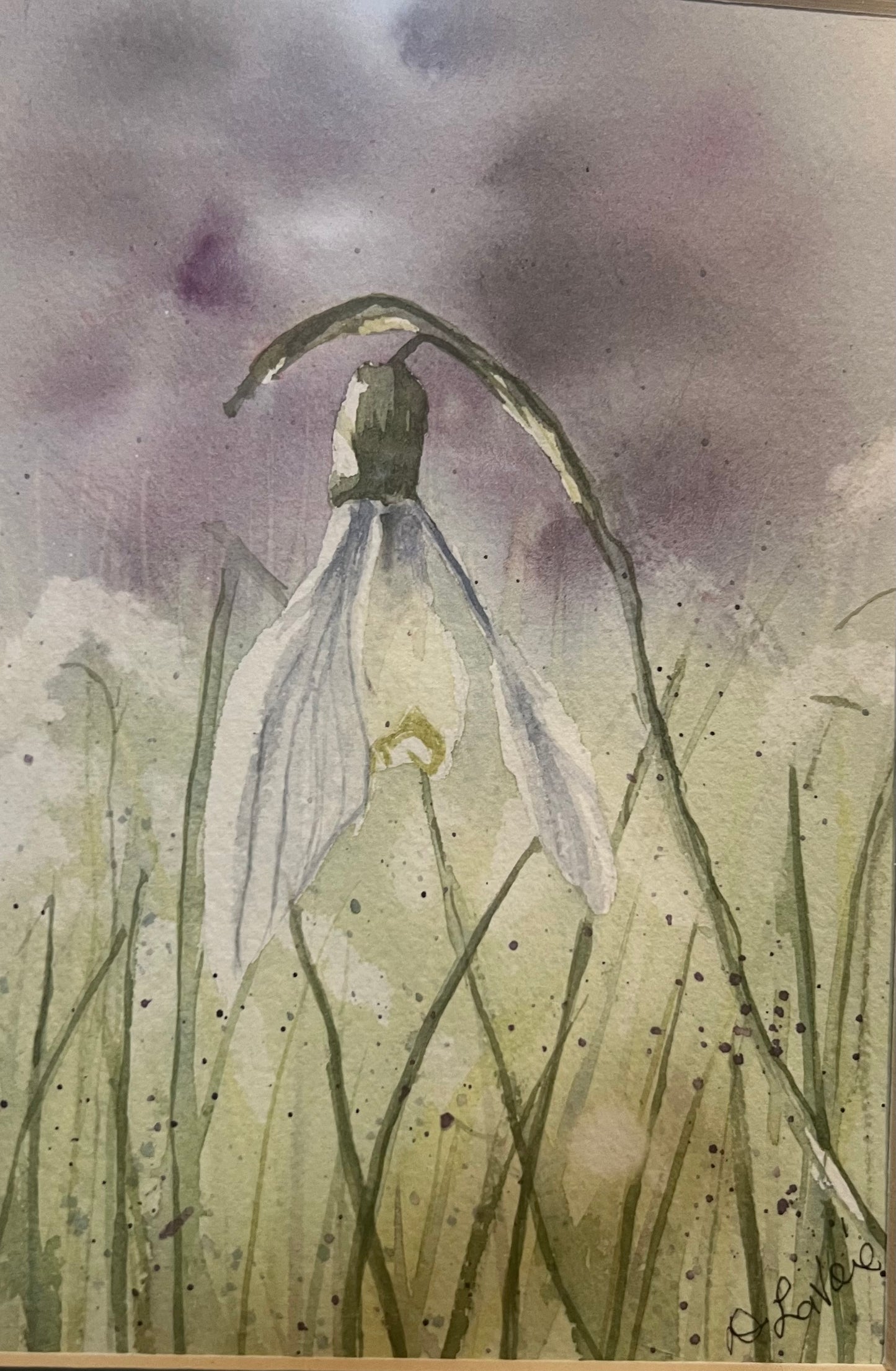 "Snowdrop" by Dominique LaVoie