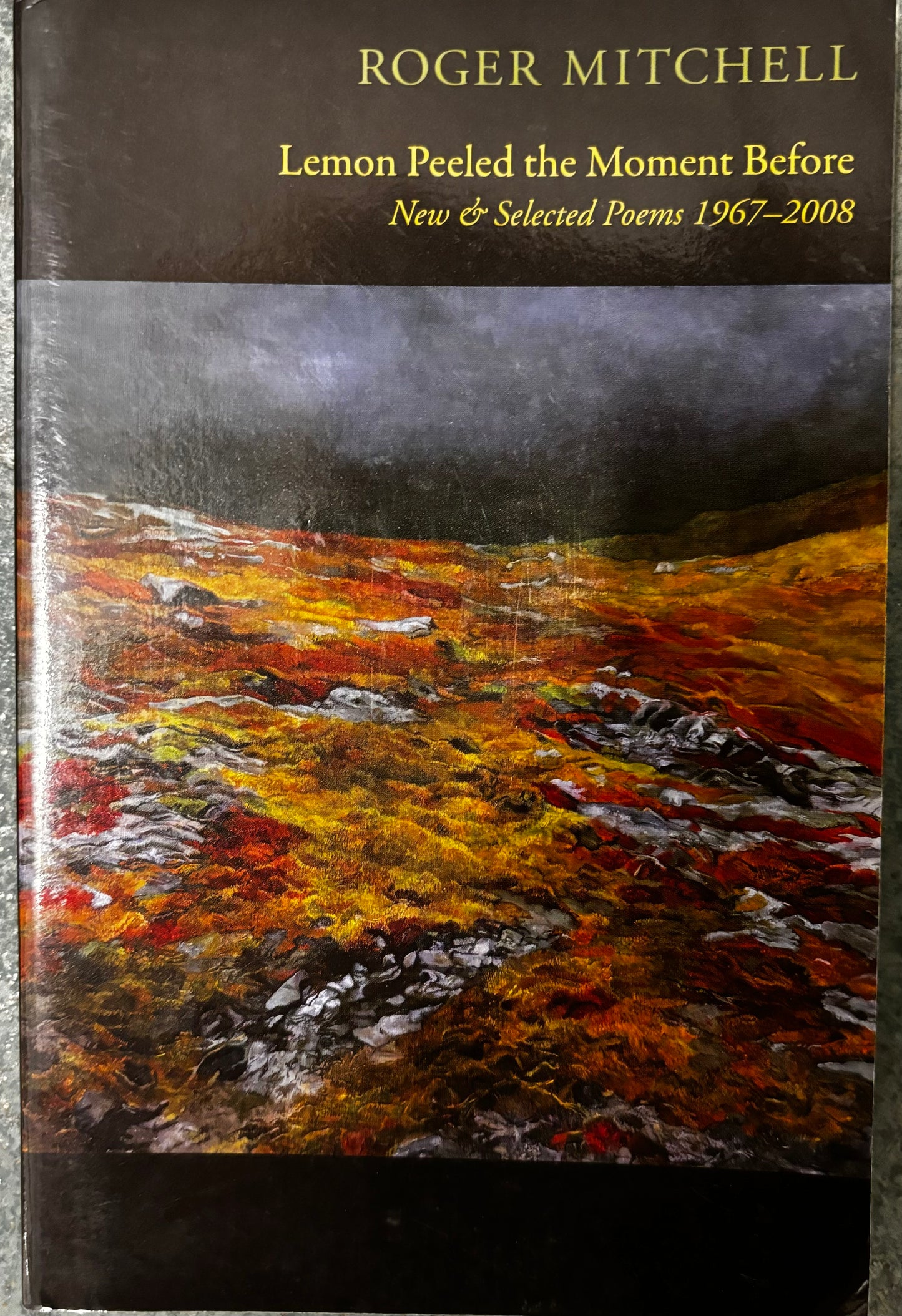 Roger Mitchell Books