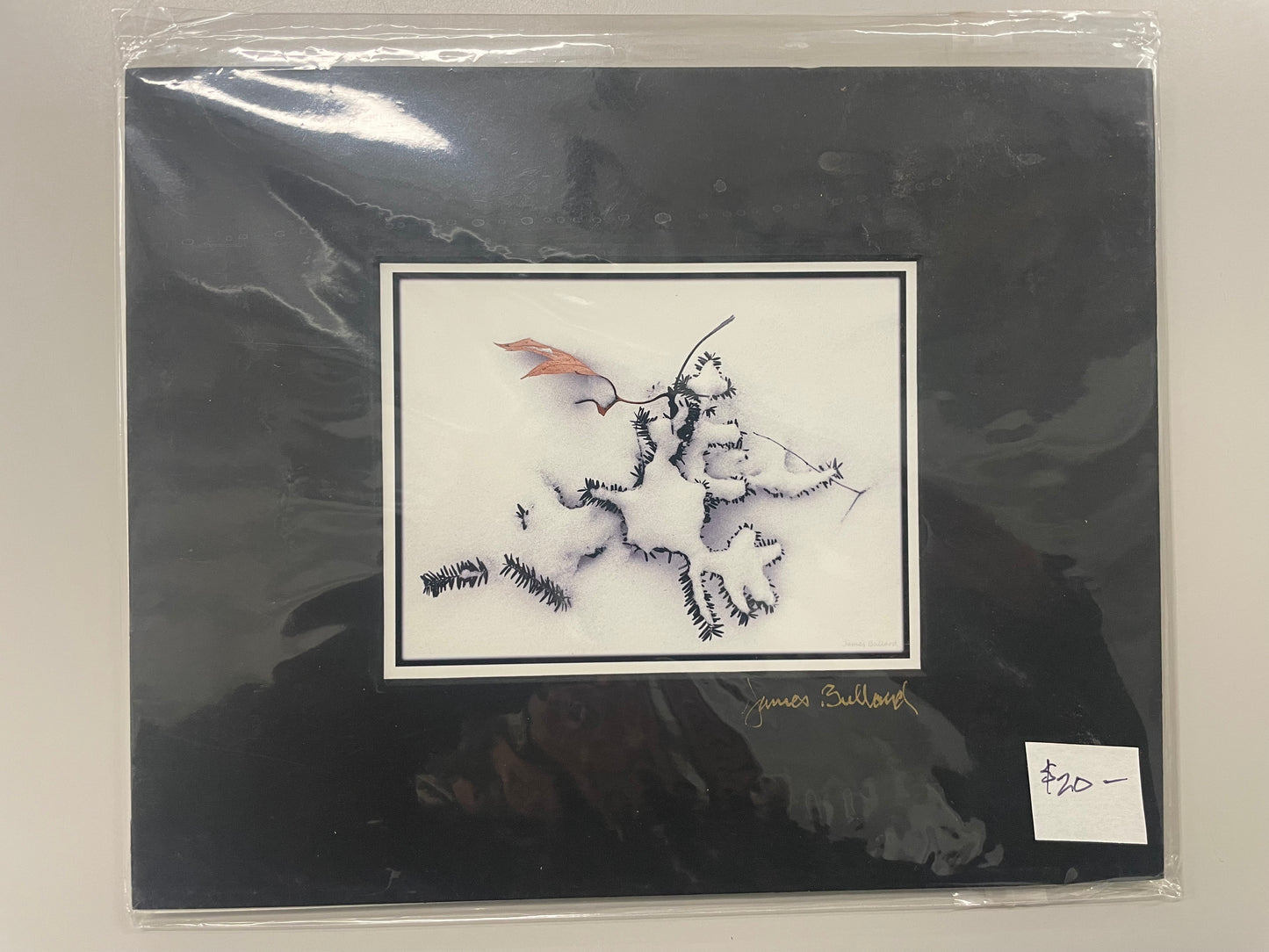Matted Photography Prints, Small - James Bullard