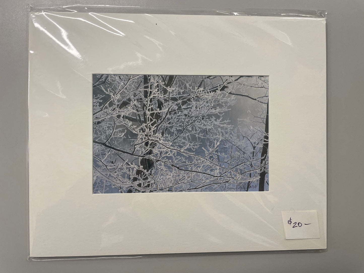 Matted Photography Prints, Small - James Bullard