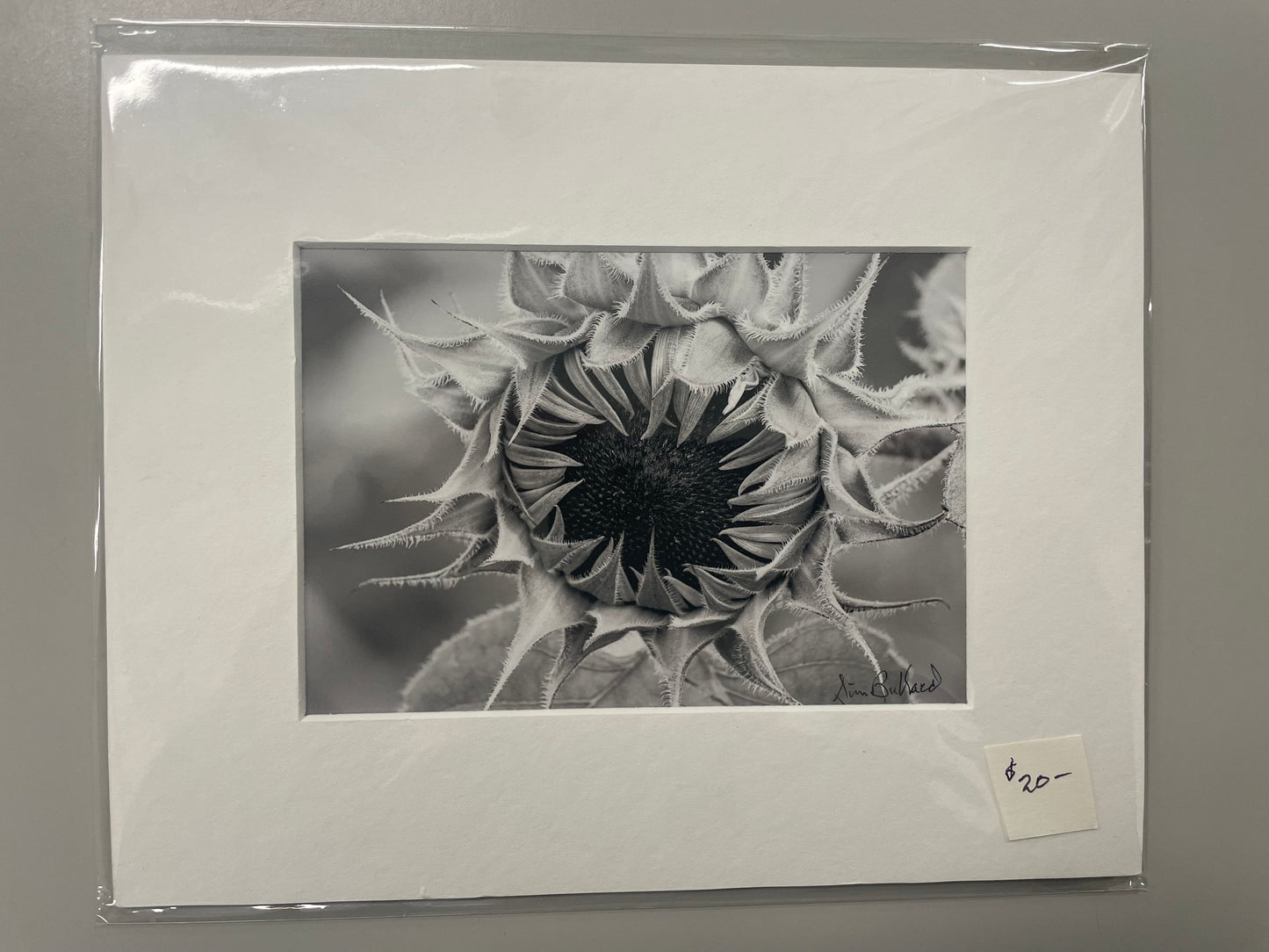 Matted Photography Prints, Small - James Bullard