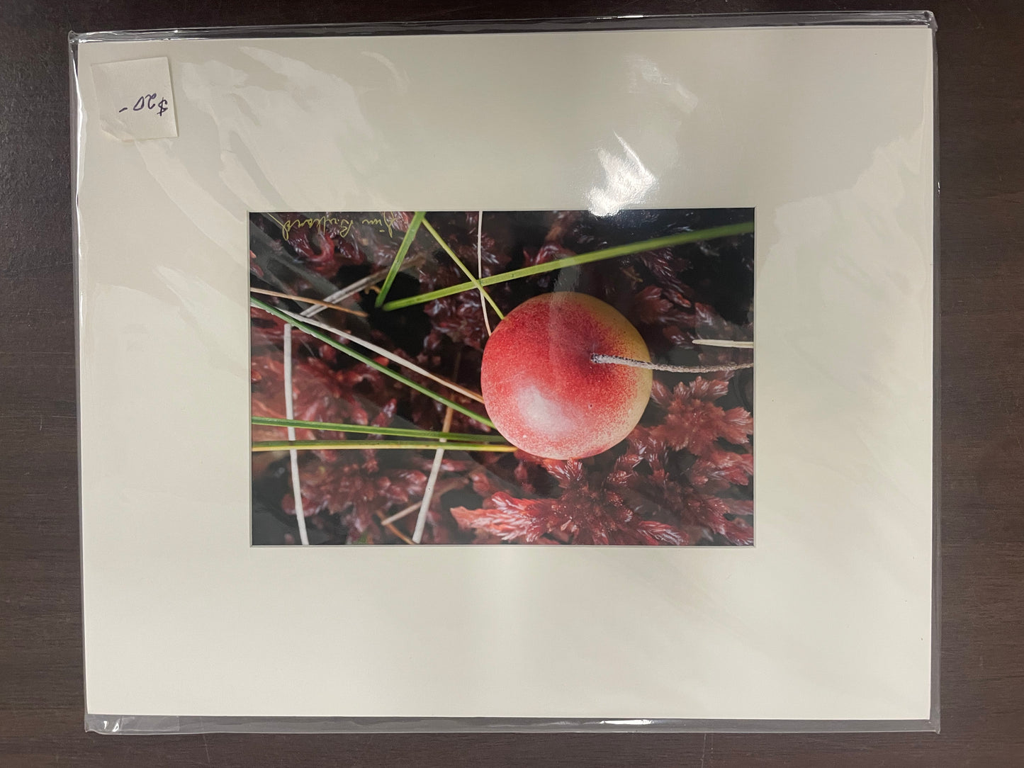 Matted Photography Prints, Small - James Bullard