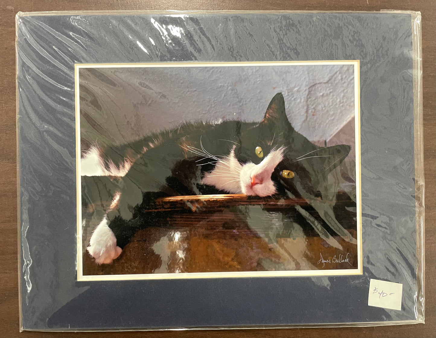 Matted Photography Prints - Medium - James Bullard