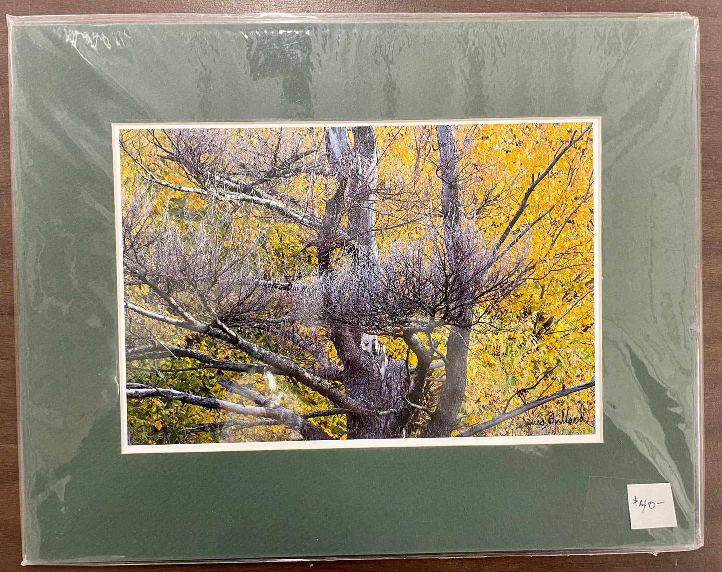 Matted Photography Prints - Medium - James Bullard