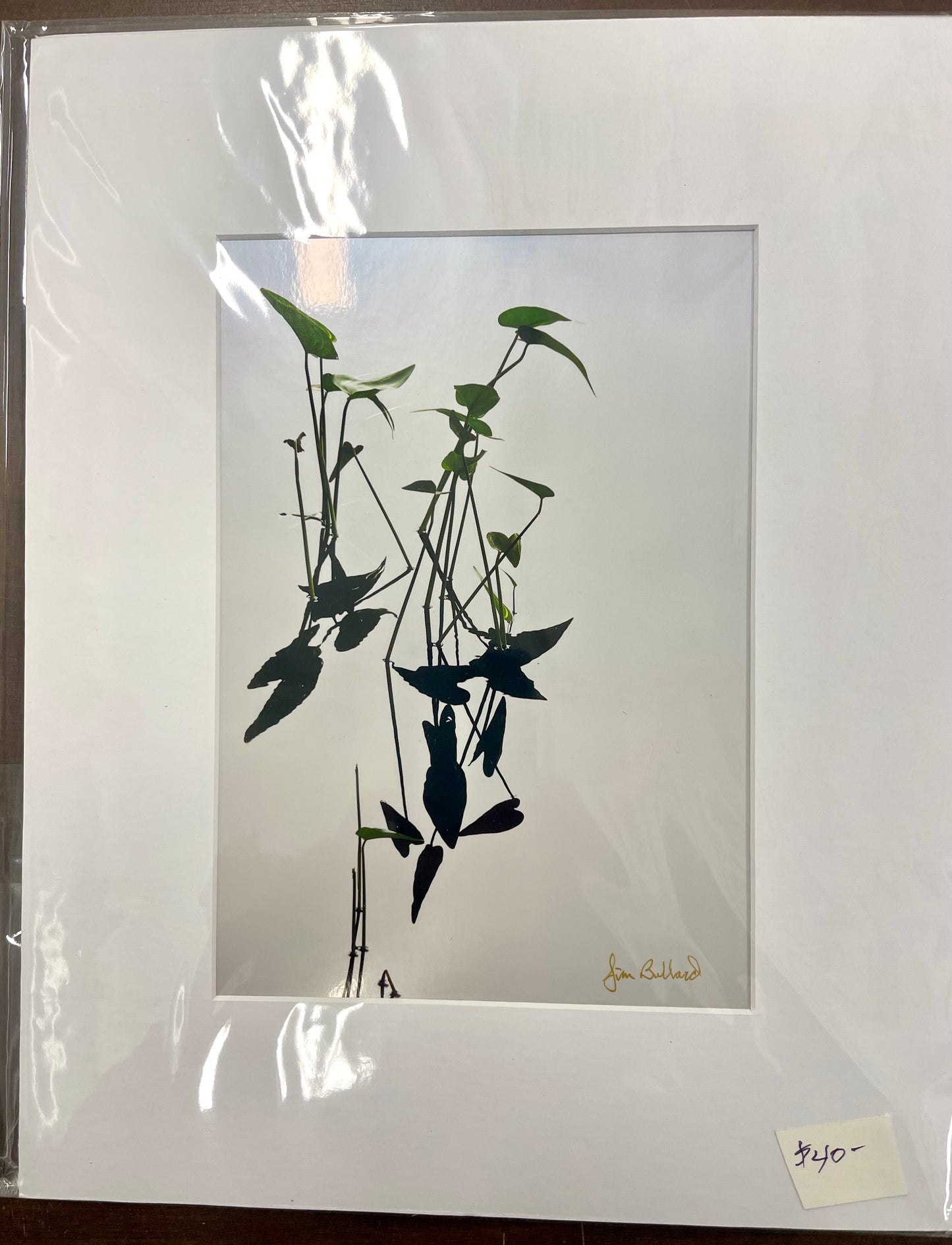 Matted Photography Prints - Medium - James Bullard